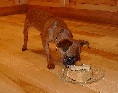 cake4.jpg