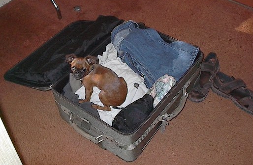 suitcase.jpg